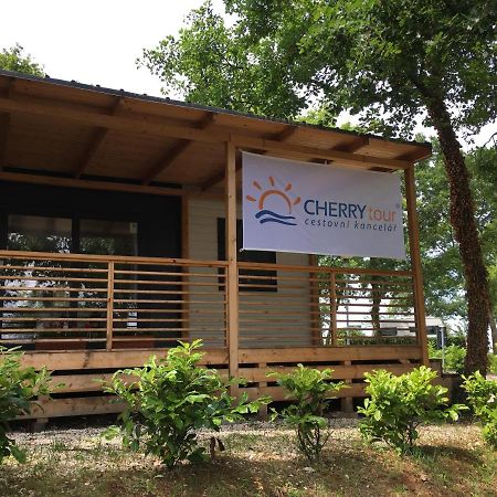 Cherry Premium Adria Mobile Homes Zelena Laguna 波雷奇 外观 照片